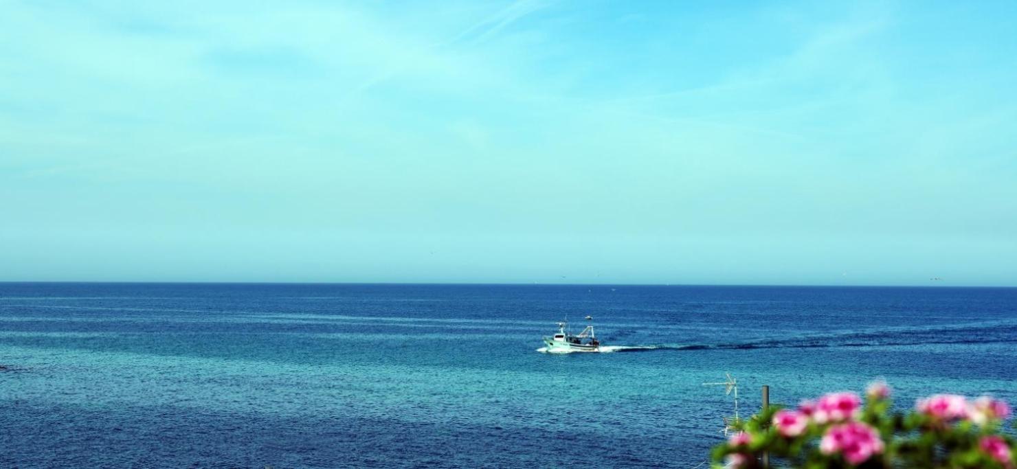 Apartment Terrazza Sul Mare